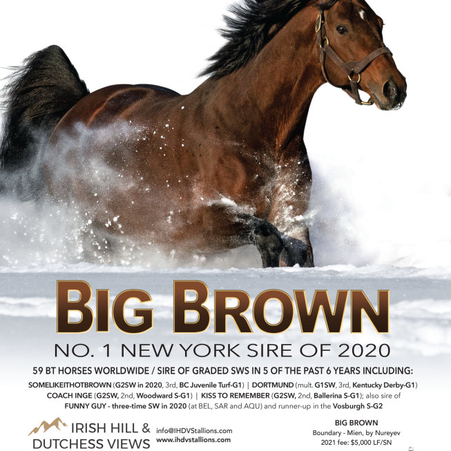 Irish Hill and Dutchess Views Stallions - Big Brown