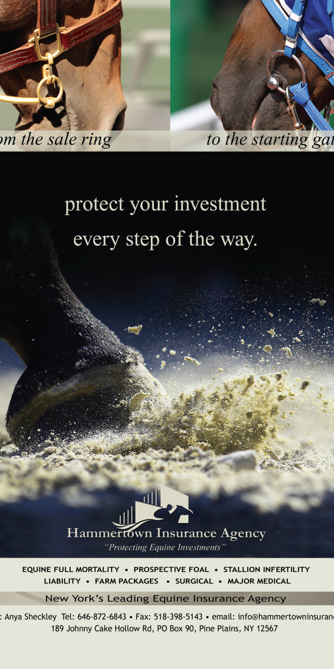 Hammertown - Protect Your Investment