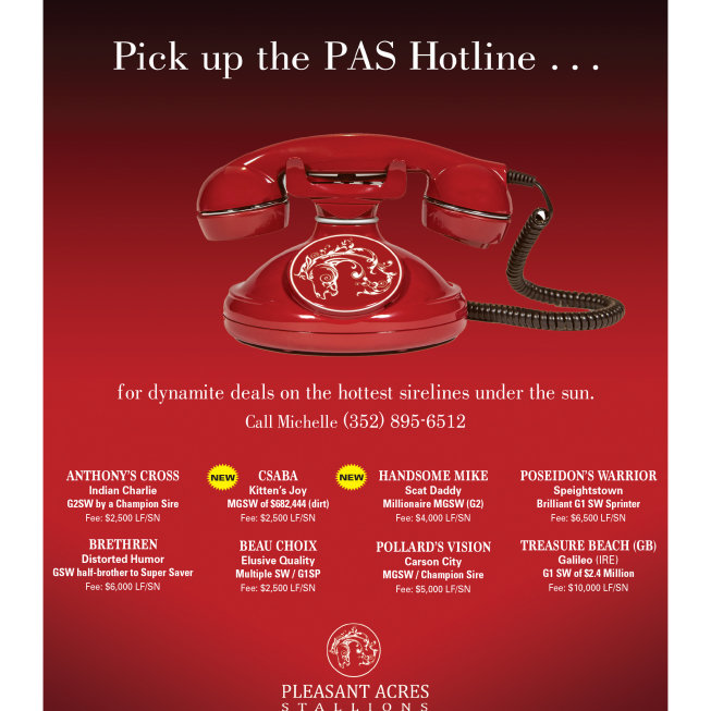 PAS Hotline