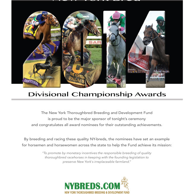 Divisional Championship Awards