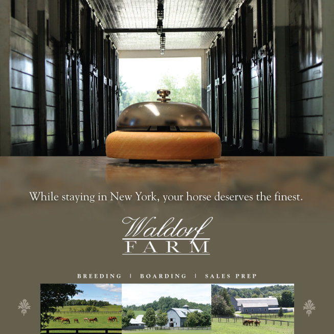 Waldorf Farm - Services