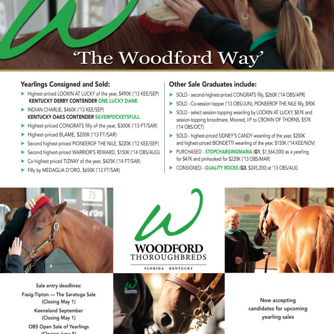 Woodford Thoroughbreds - The Woodford Way