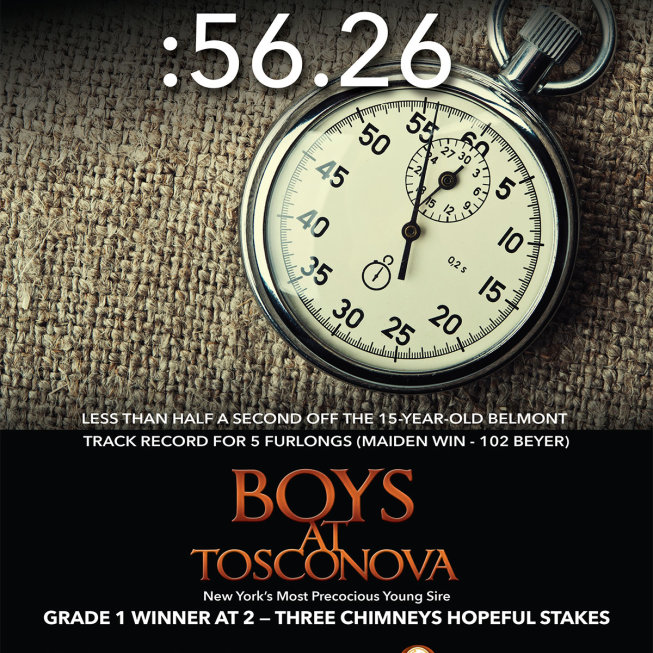 Questroyal Stud - Boys at Tusconova