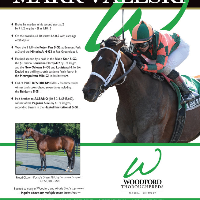 Woodford Thoroughbred - Mark Valeski