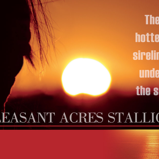 Pleasant Acres Stallions