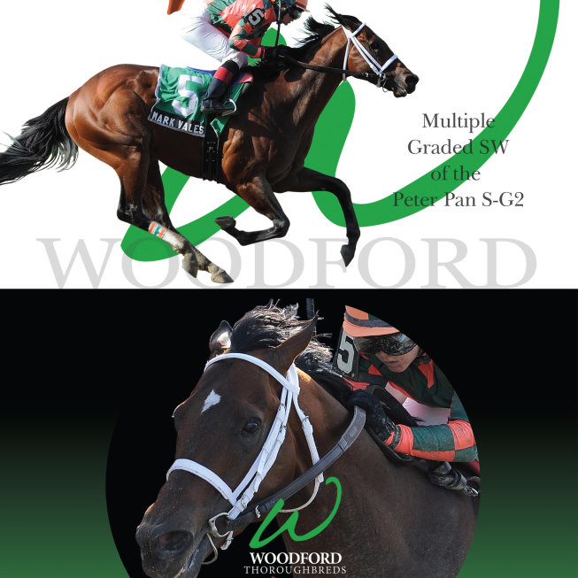 Woodford Thoroughbred - Mark Valeski 2