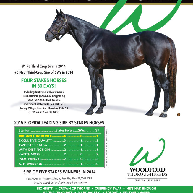 Woodford Thoroughbred - Magna Graduate