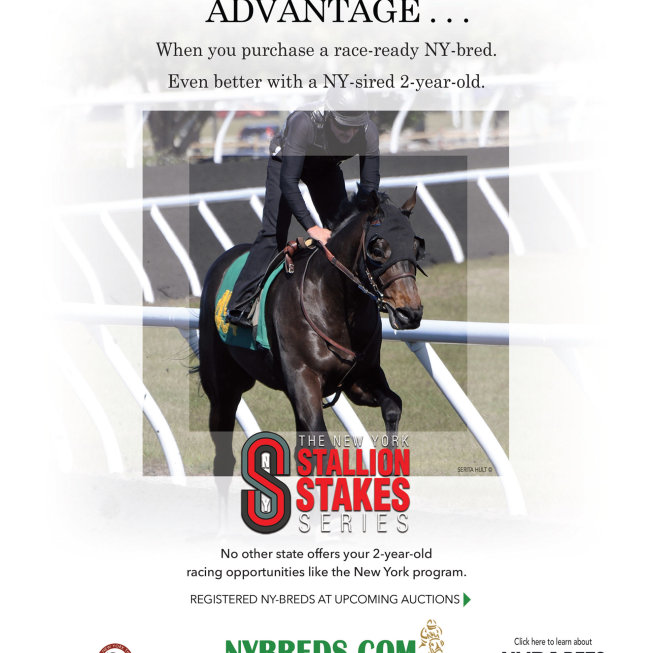 NY-Breds - New York Stallion Stakes